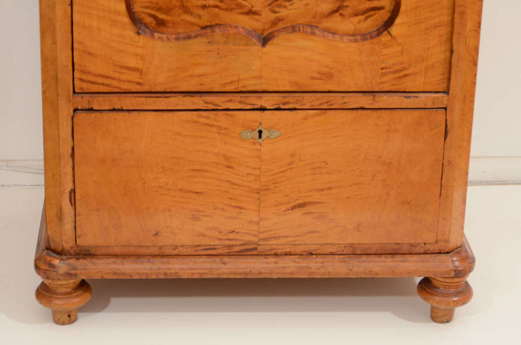 Biedermeier Cabinet In Good Condition For Sale In New York, NY