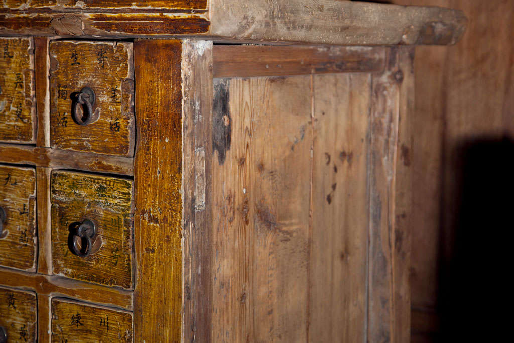 Chinese apothecary cabinet, late 19th century 5