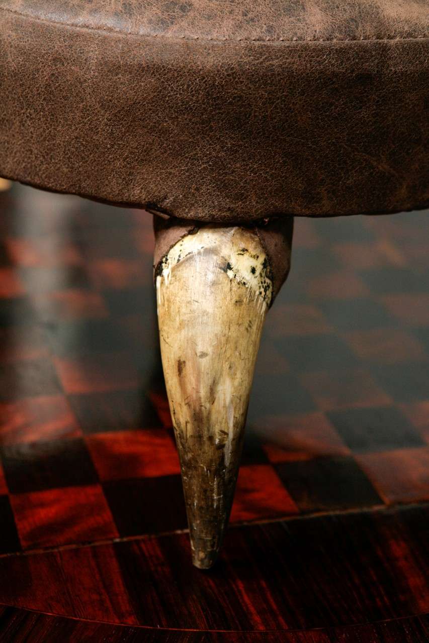 Other Antique Horn Stool with Leather Upholstry For Sale