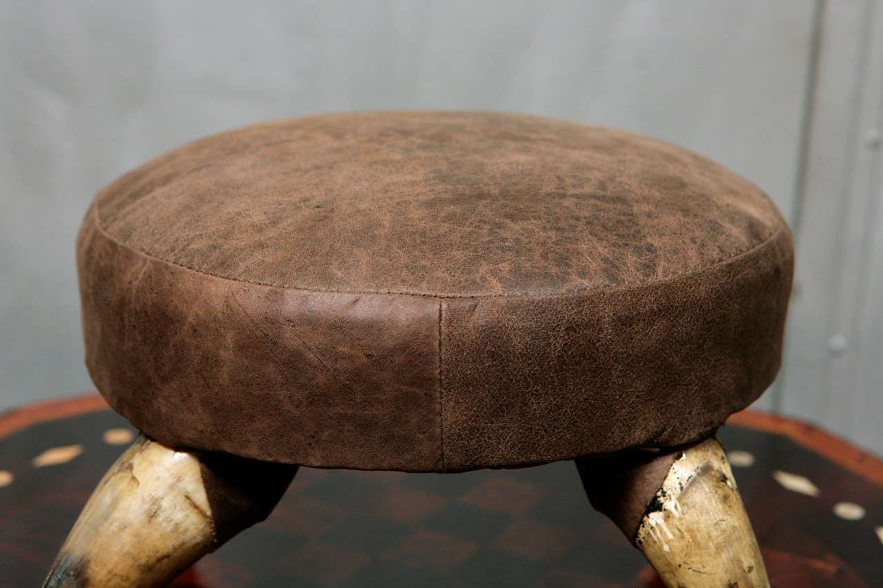 20th Century Antique Horn Stool with Leather Upholstry For Sale