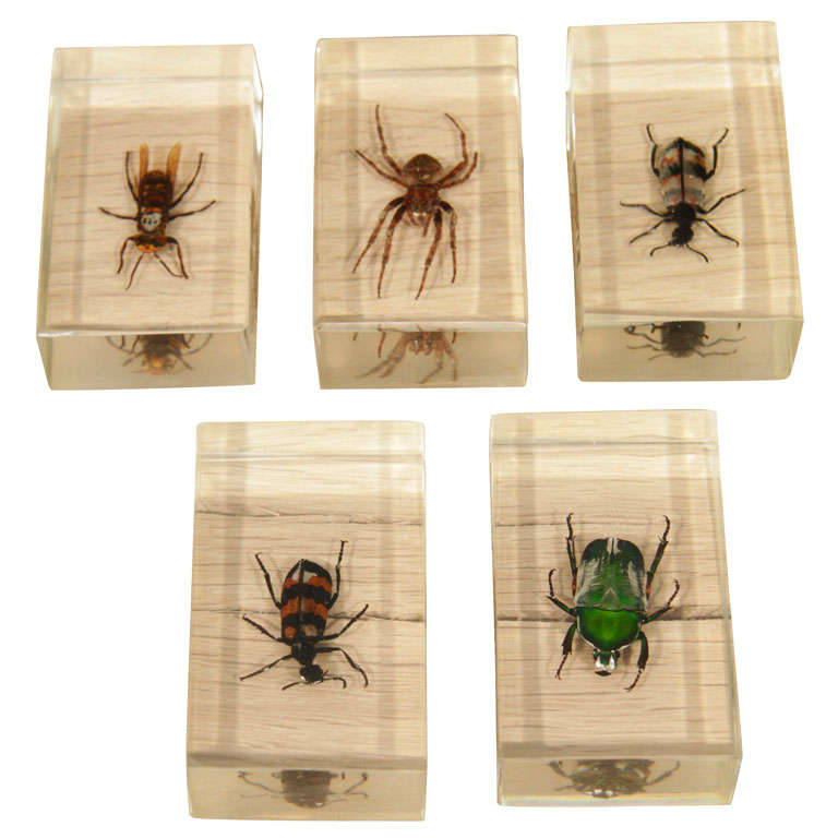 Bugs in Lucite Casing For Sale