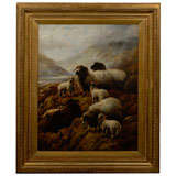 Large English Sheep Painting