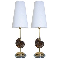 Pair of Lamps in the Style of Willy Daro