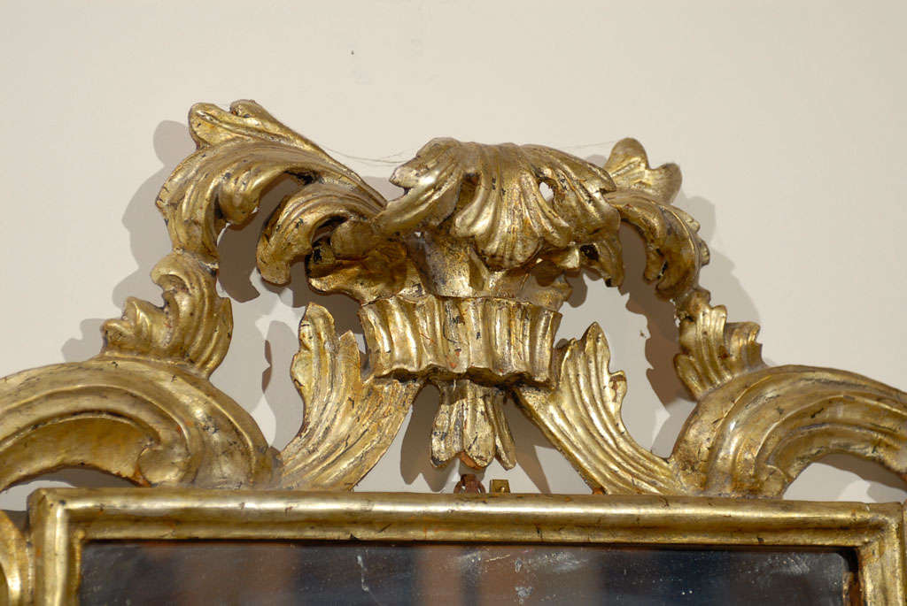Pair of Italian Rococo Style Carved Giltwood Mirrors with Scroll Motifs, 1890s 2