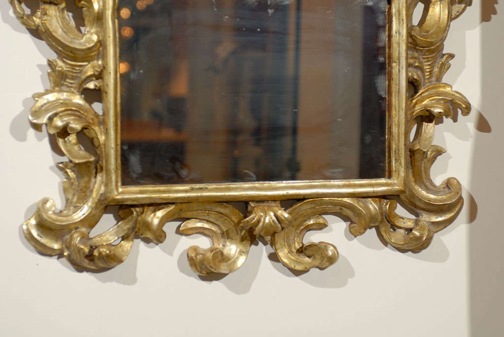 Pair of Italian Rococo Style Carved Giltwood Mirrors with Scroll Motifs, 1890s 3