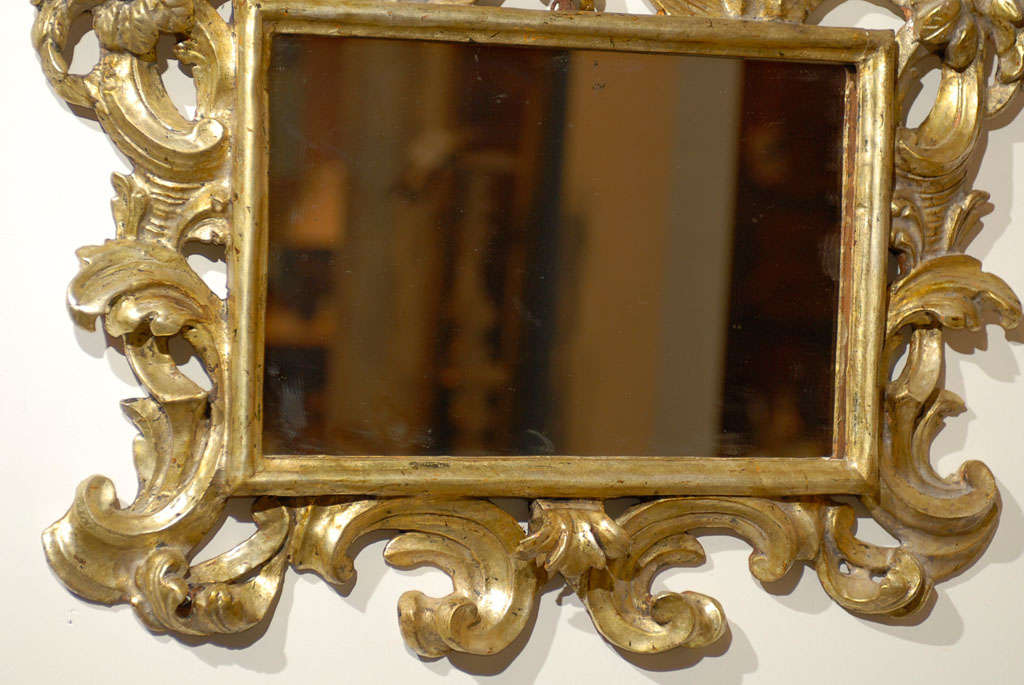 Pair of Italian Rococo Style Carved Giltwood Mirrors with Scroll Motifs, 1890s 4