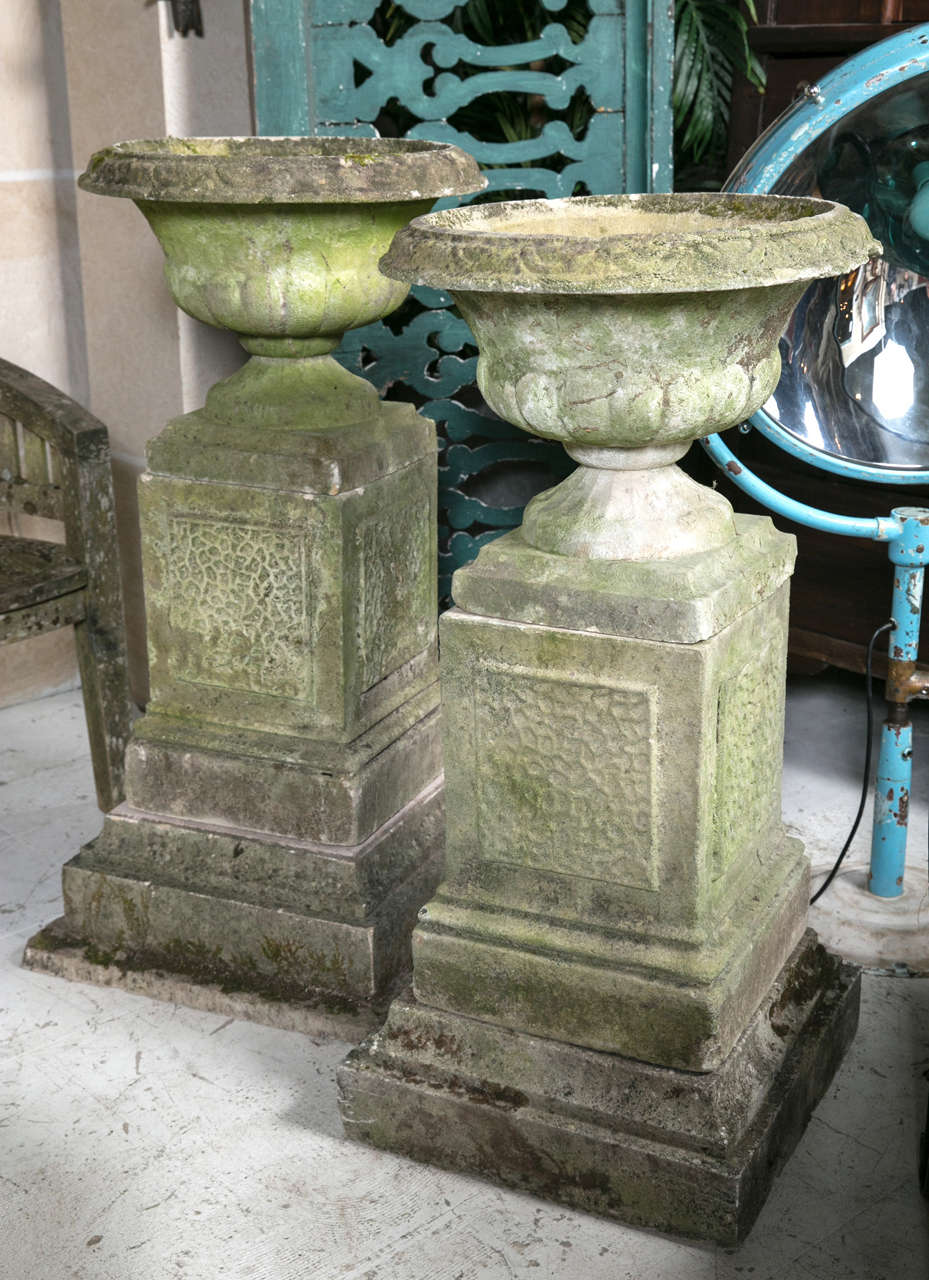 Pair of English garden urns on plinths circa 1920's.