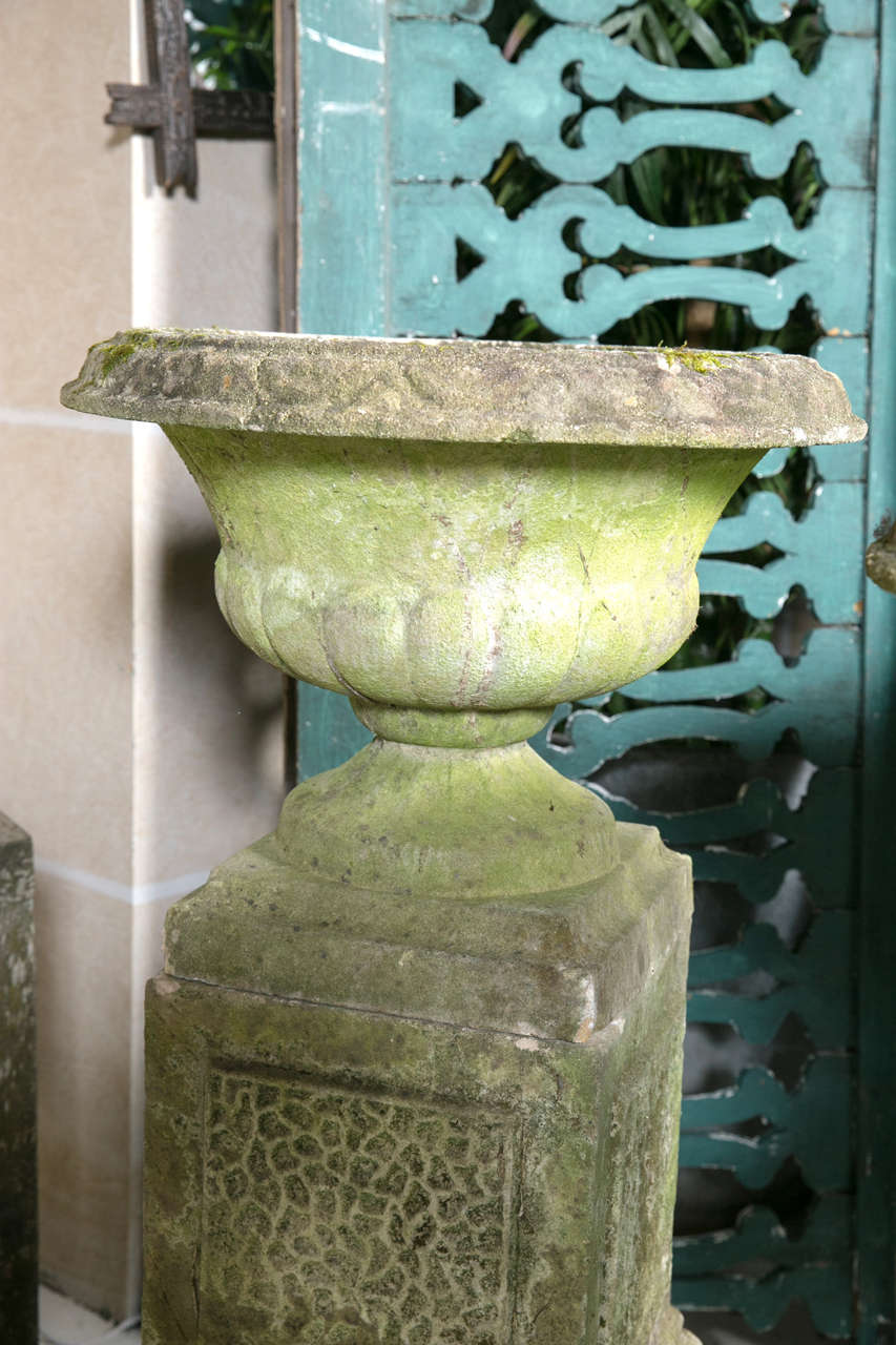 Pair of English Garden Urns on Plinths 1