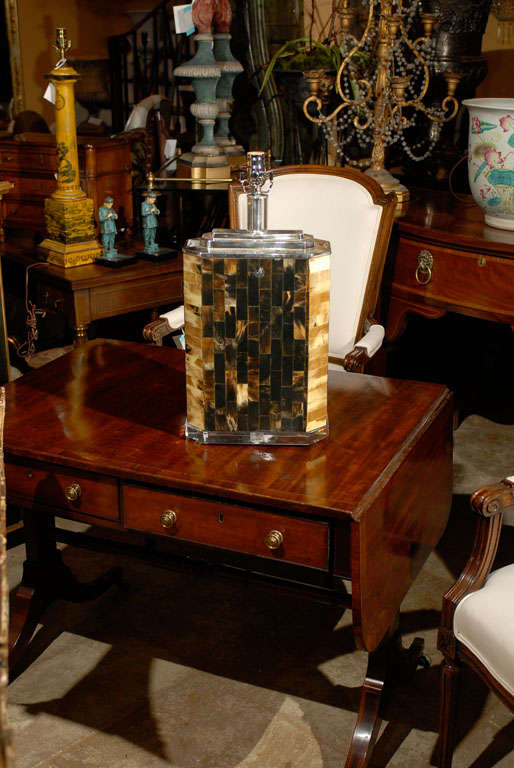 Vintage Silvered & Horn Lamp On Lucite Base 6