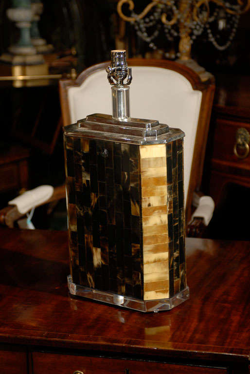 Vintage Silvered & Horn Lamp On Lucite Base 2