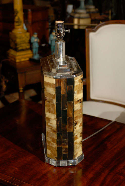 Vintage Silvered & Horn Lamp On Lucite Base 5