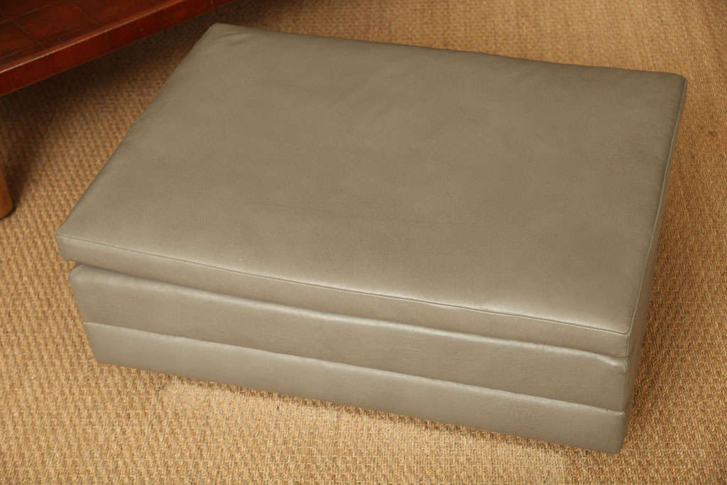 Chic Chrome And Leather Ottoman 2