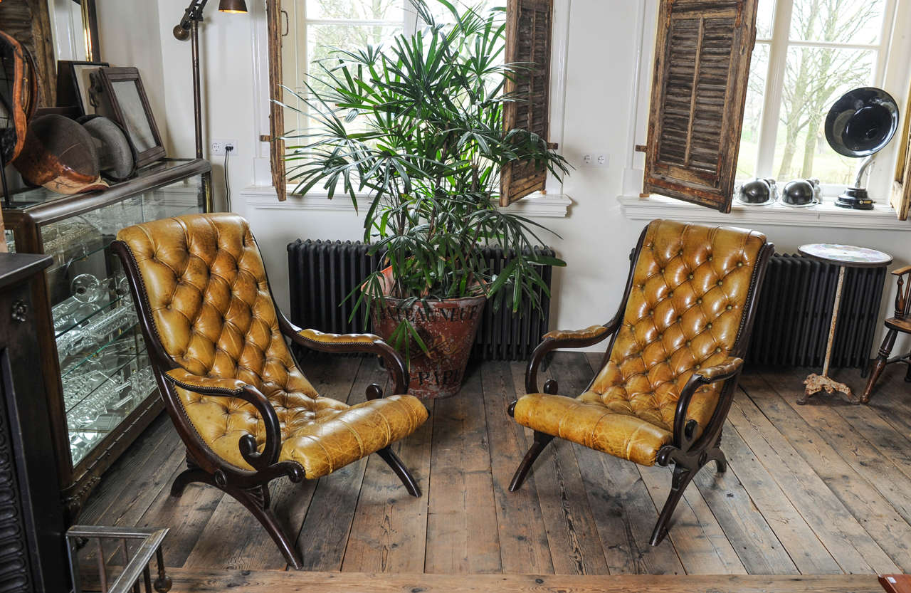 A pair of English Regency-style mahogany chairs with leather upholstered.