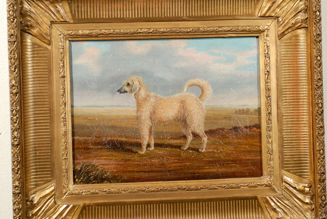 Canvas French Dog Portrait Oil Painting For Sale