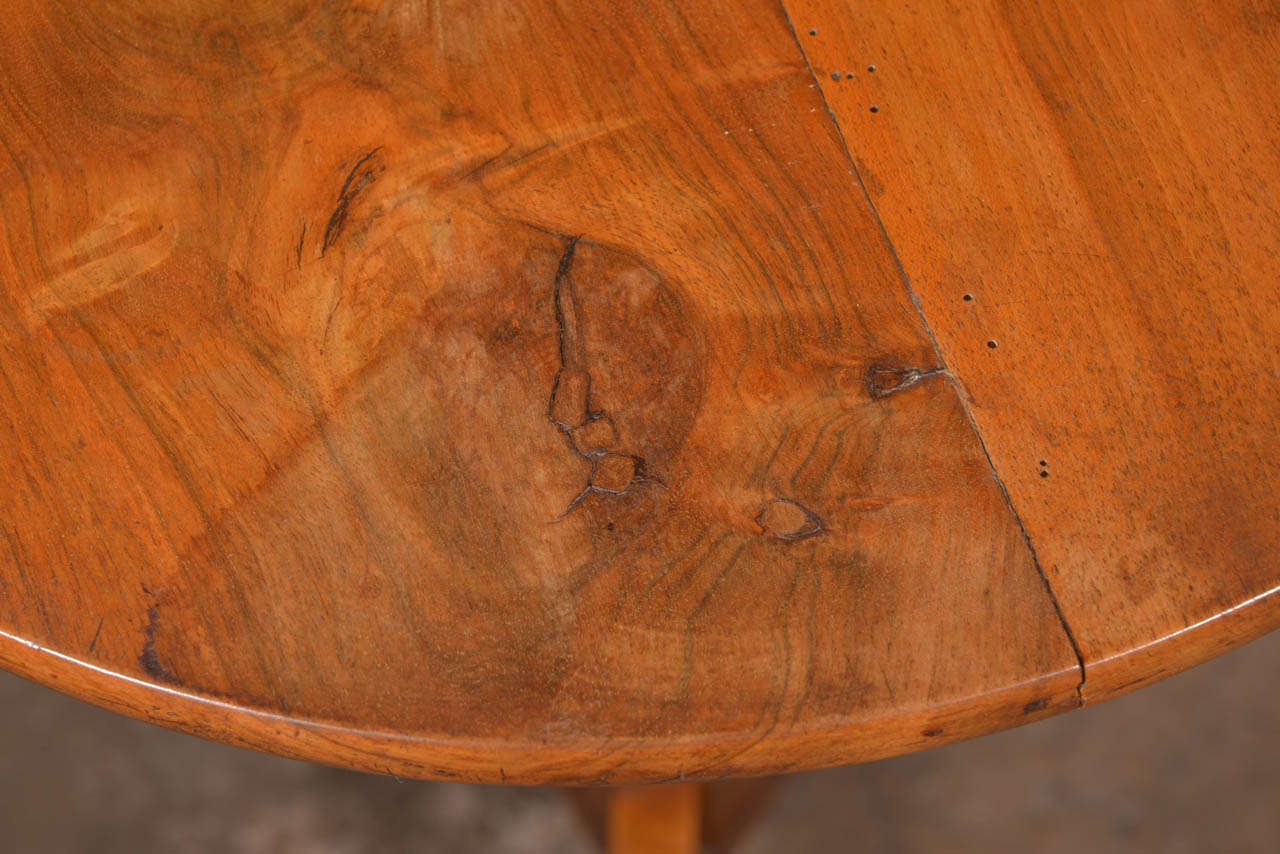 19th Century Walnut Tripod Table 1