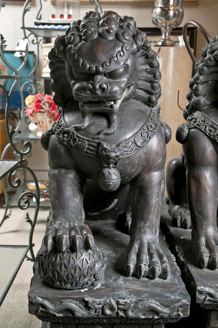 Can be used both outdoor and indoor. One is right facing and the other is left facing. Bronze is cast and hand chased. Made in 1900
in China. Originally used at the entrance to a Temple. Weigh
is substantial and has metal value.