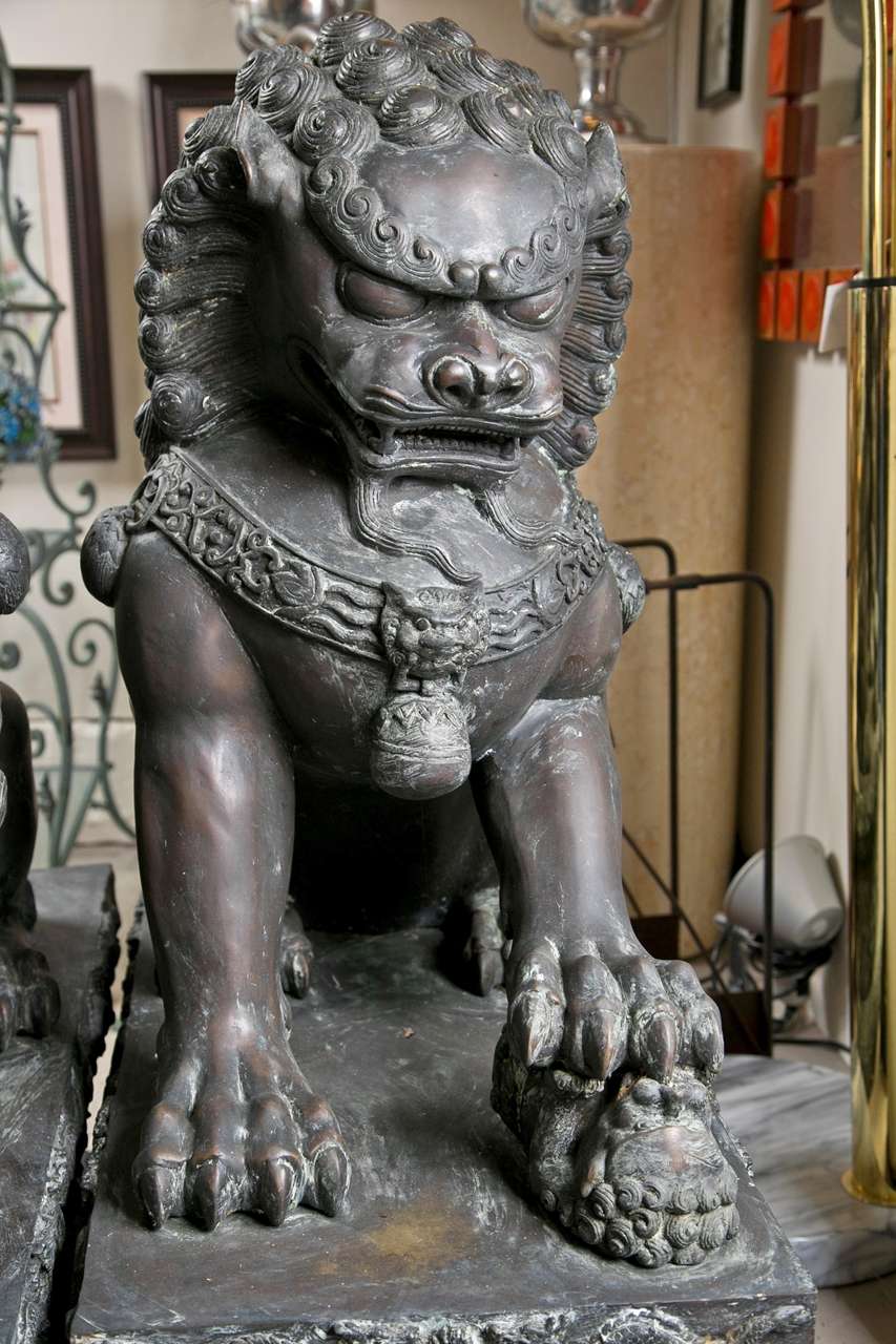 Chinese Pair of Bronze 19th Century  Foo  Dogs For Sale