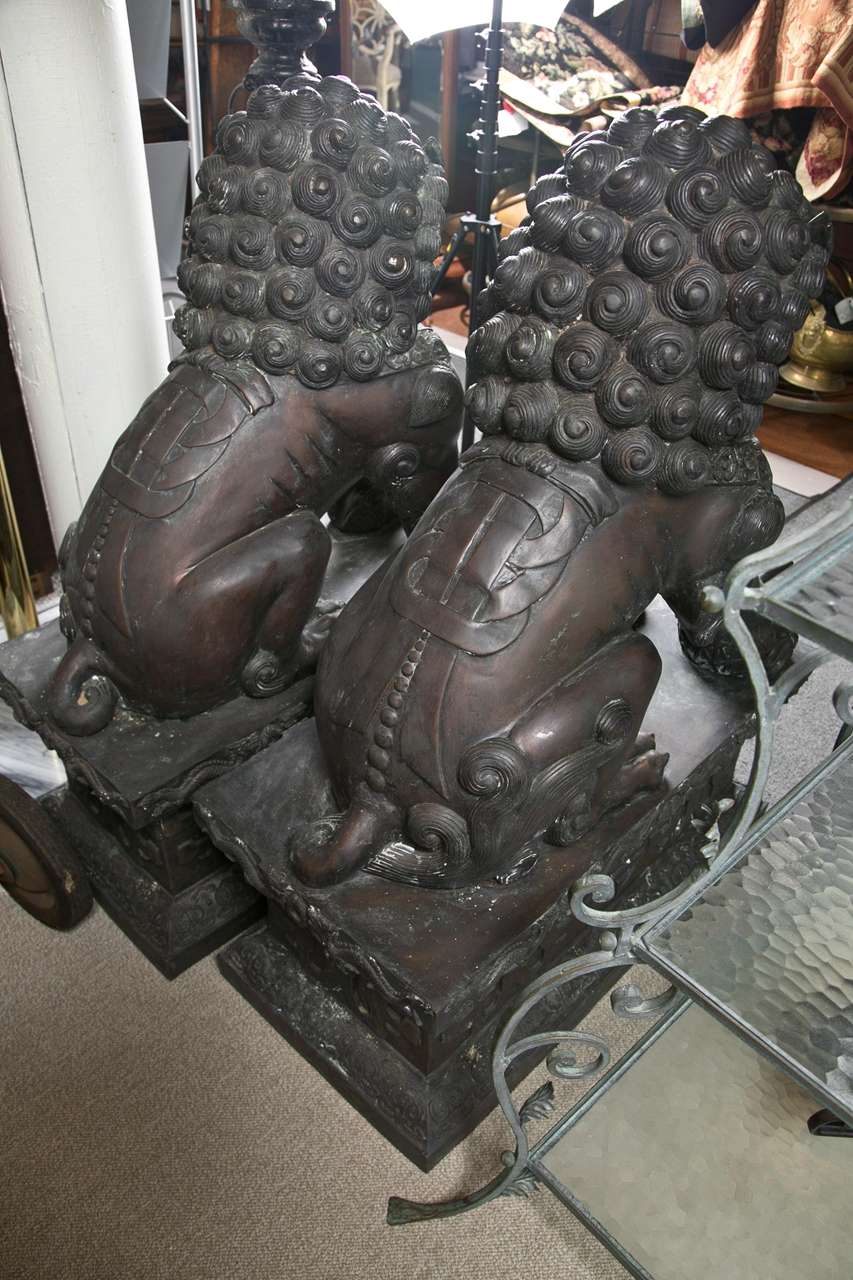 Pair of Bronze 19th Century  Foo  Dogs For Sale 2