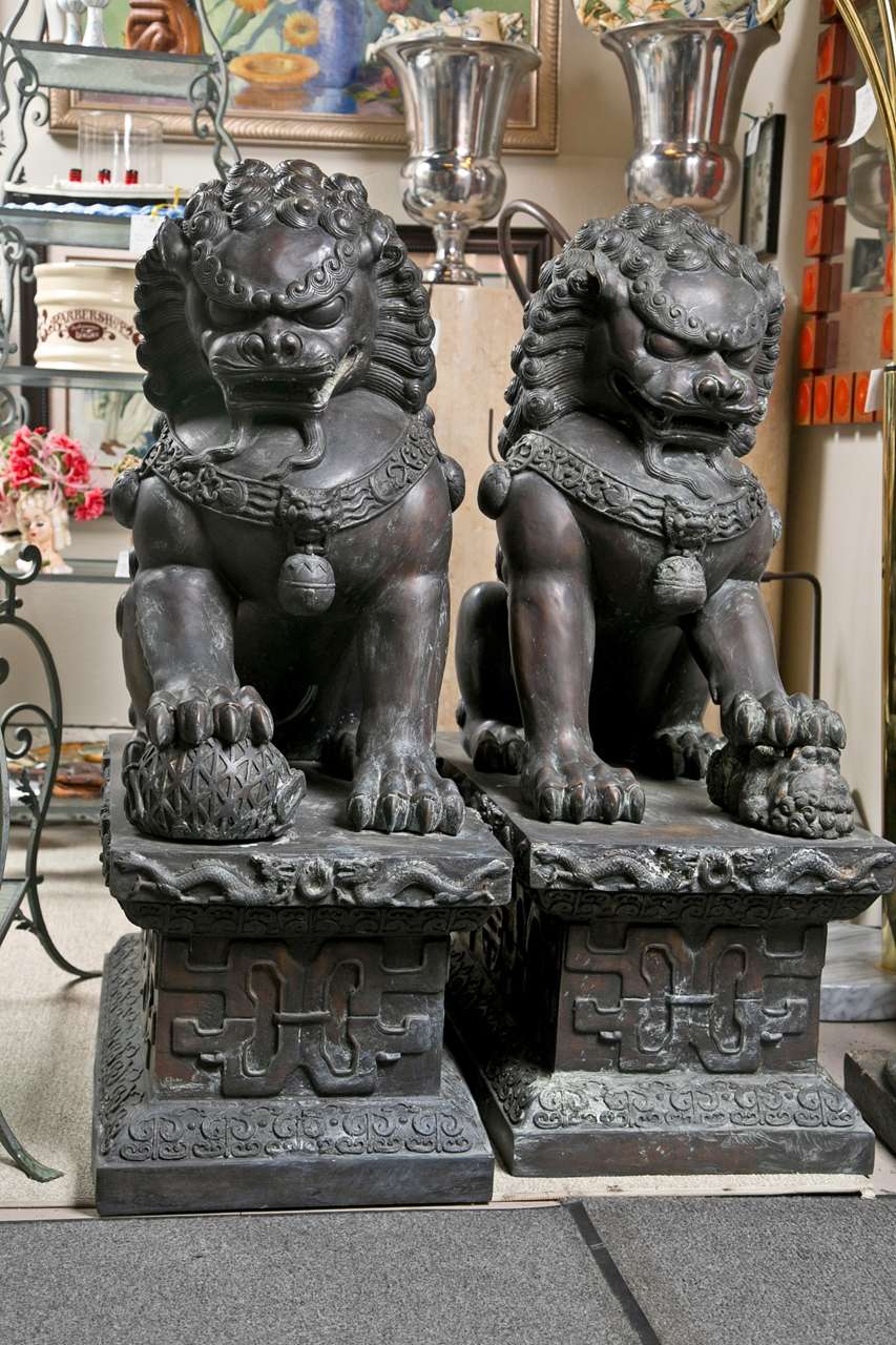 Pair of Bronze 19th Century  Foo  Dogs For Sale 3
