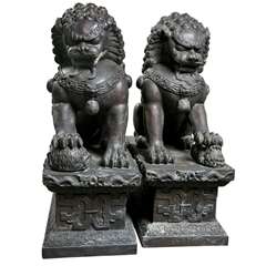 Antique Pair of Bronze 19th Century  Foo  Dogs
