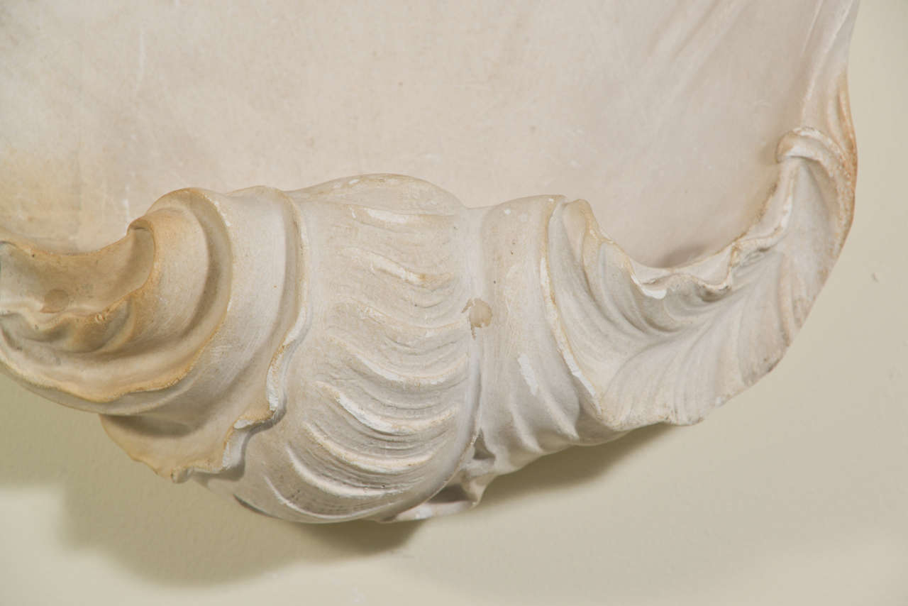Mid-20th Century Pair Of Plaster Shell Sconces