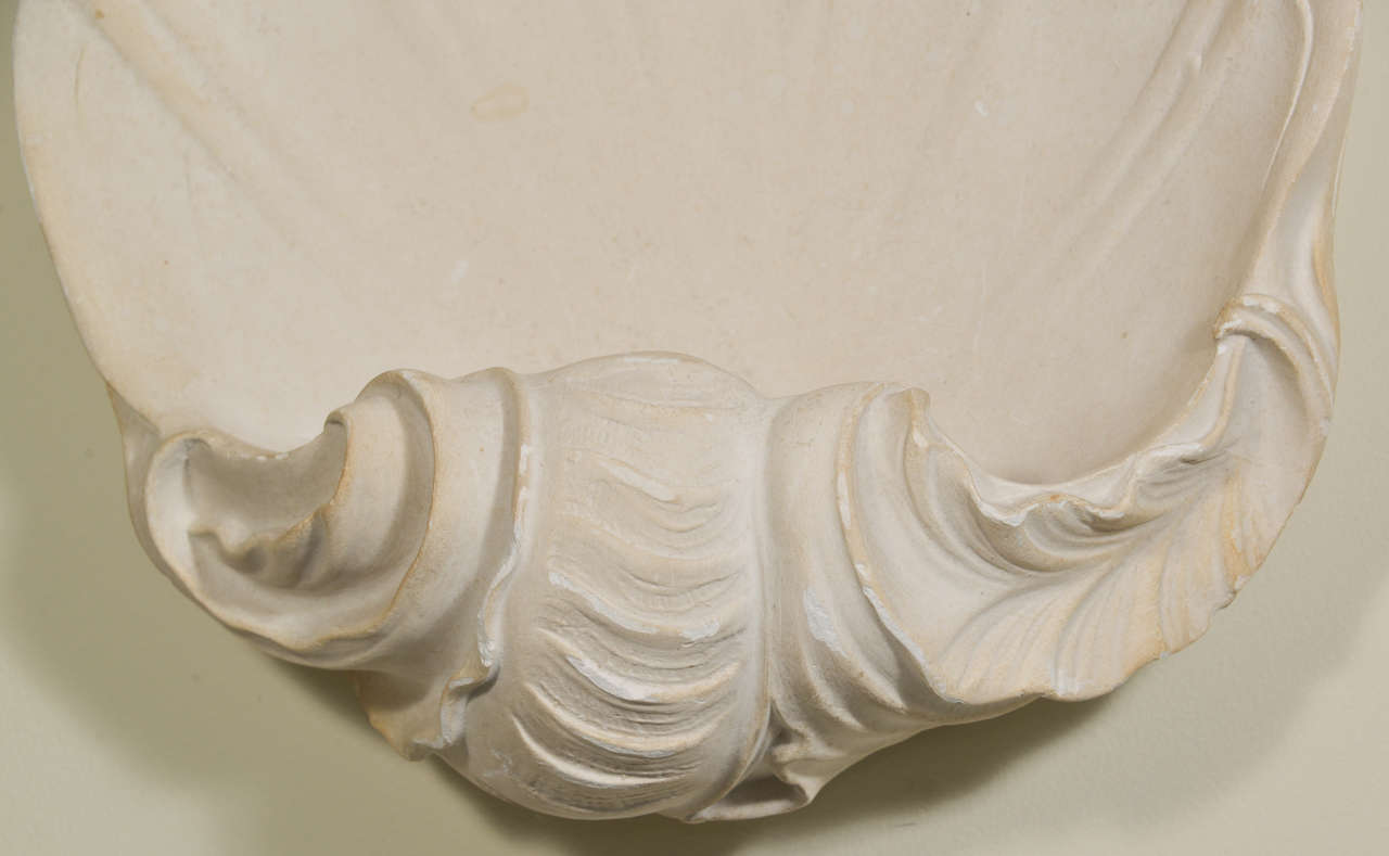 Pair Of Plaster Shell Sconces 3