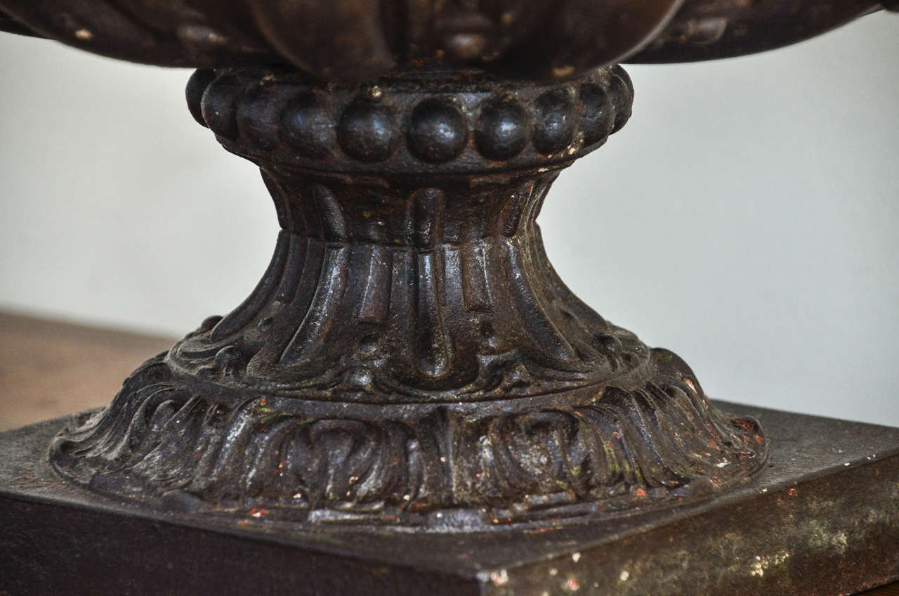 19th Century English Polished Cast Iron Neoclassical Urn