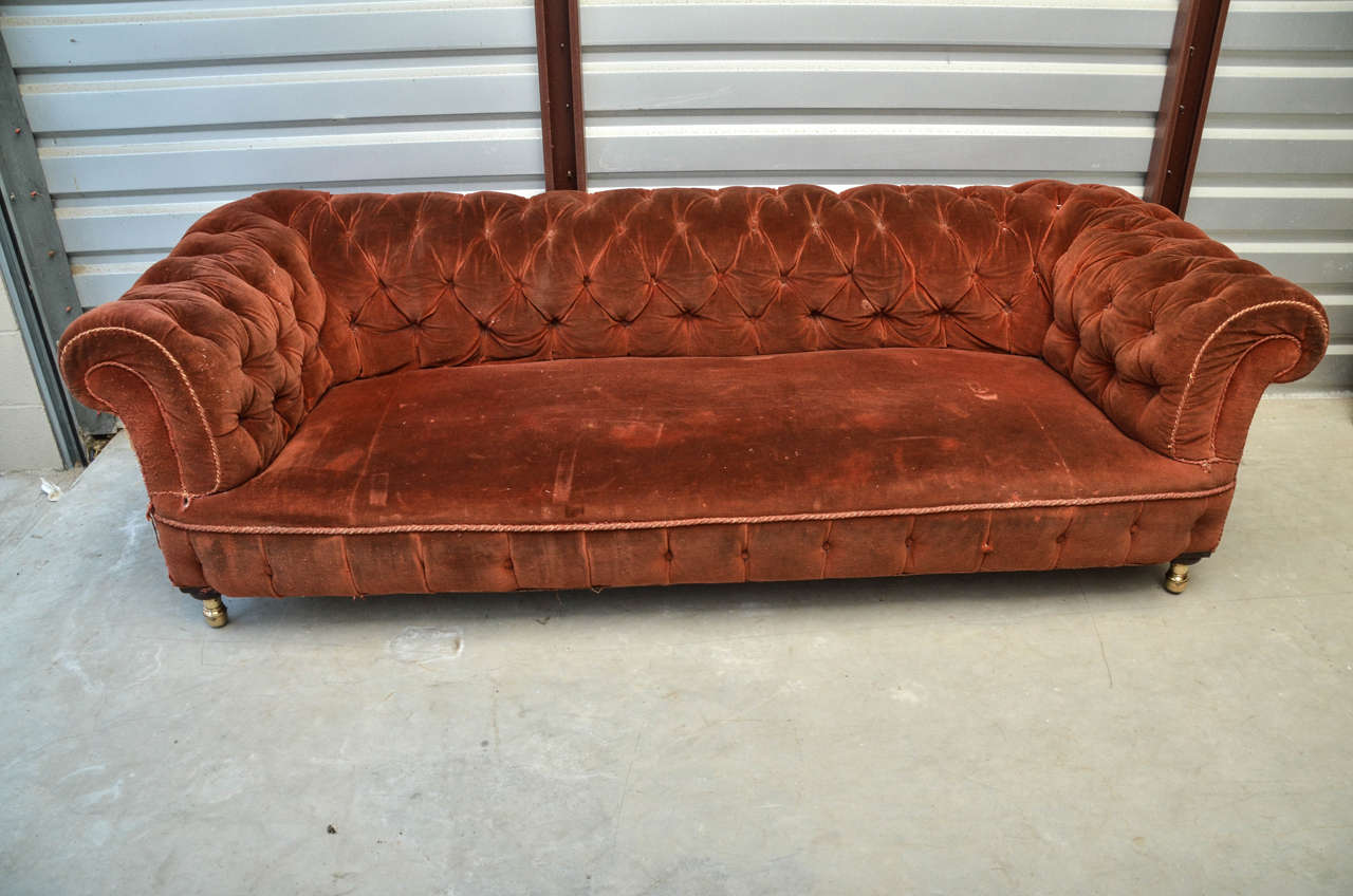 English Edwardian Chesterfield sofa with tufted arms, back and front panel. The sofa rests on short turned mahogany legs capped with unusual brass castors. The castors have a recessed rolling ball. A very impressive comfortable piece of upholstery.