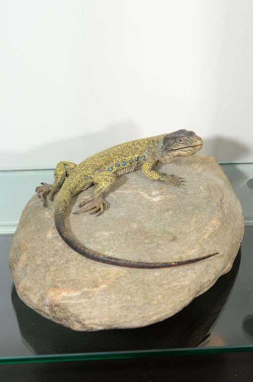 An Austrian bronze & polychromed lizard by, Franz Bergman of a yellow lizard with blue spots a top a natural stone base. The lizard is signed with the Bergman Foundry cartouche.