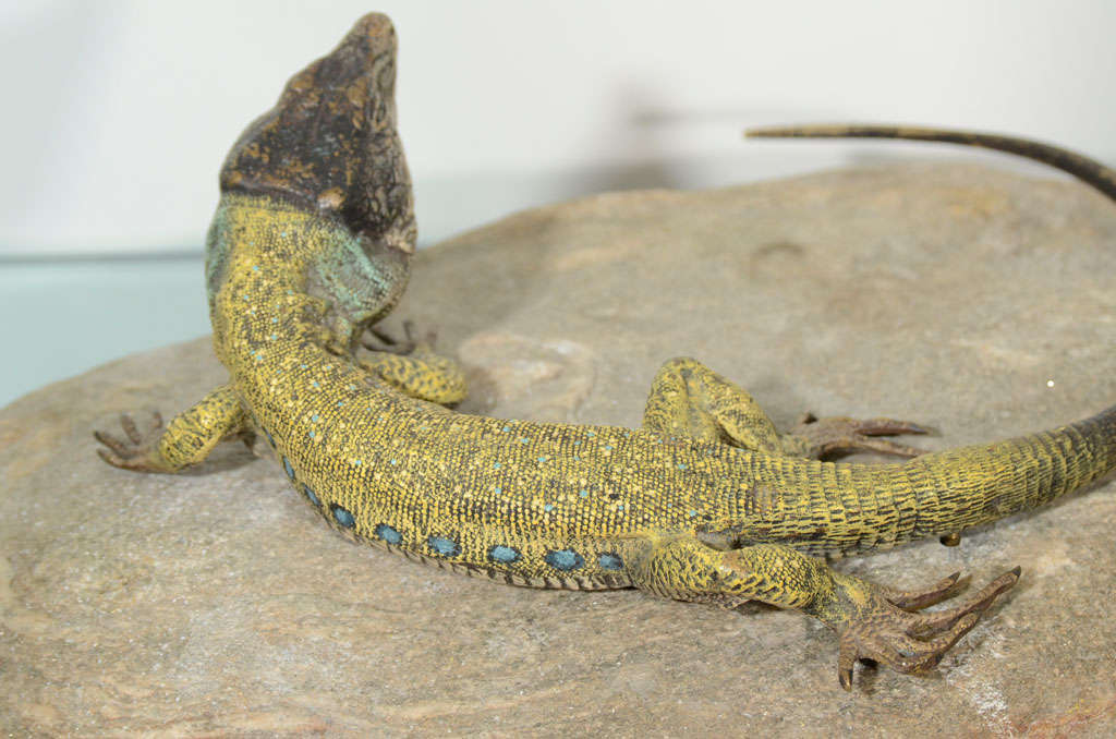 austrian lizards