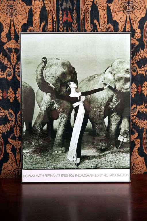 The iconic photo of Dorothy Horan, known as Dovima,the super model of the 50's, was taken in Paris 1955, by Richard Avedon.