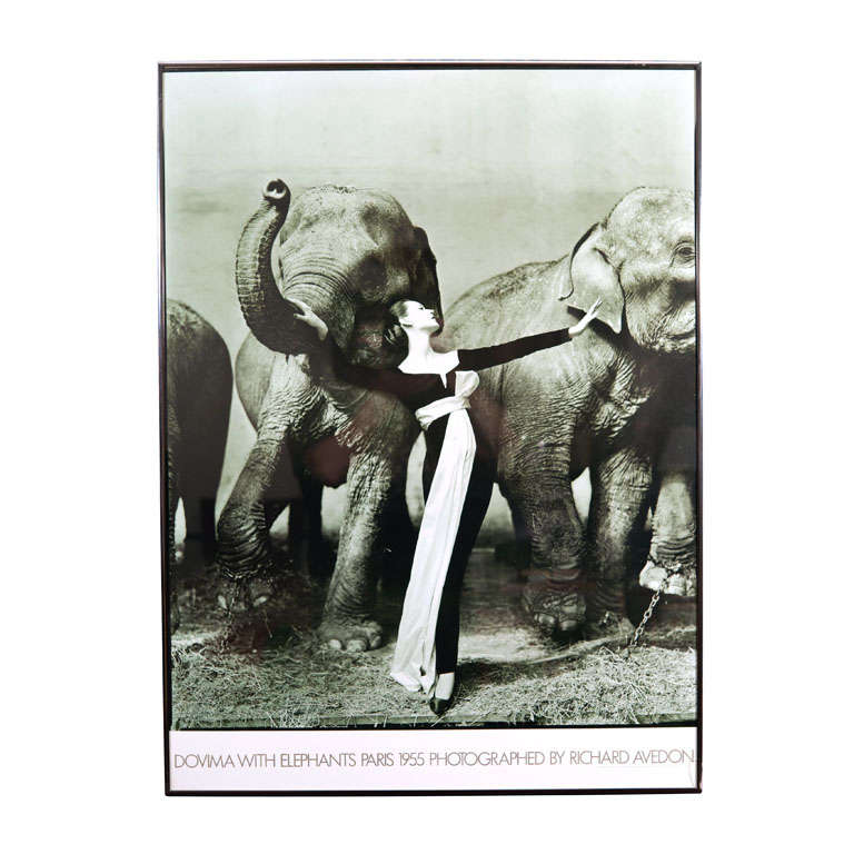 Framed poster of iconic photo "Dovima with Elephants"