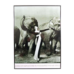 Vintage Framed poster of iconic photo "Dovima with Elephants"