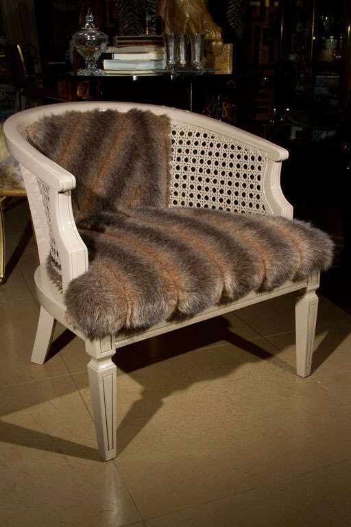 Newly lacquered barrel-back cane armchair in high gloss beige and upholstered in a vintage faux fur coat, with the original coat label attached to the back of the chair.