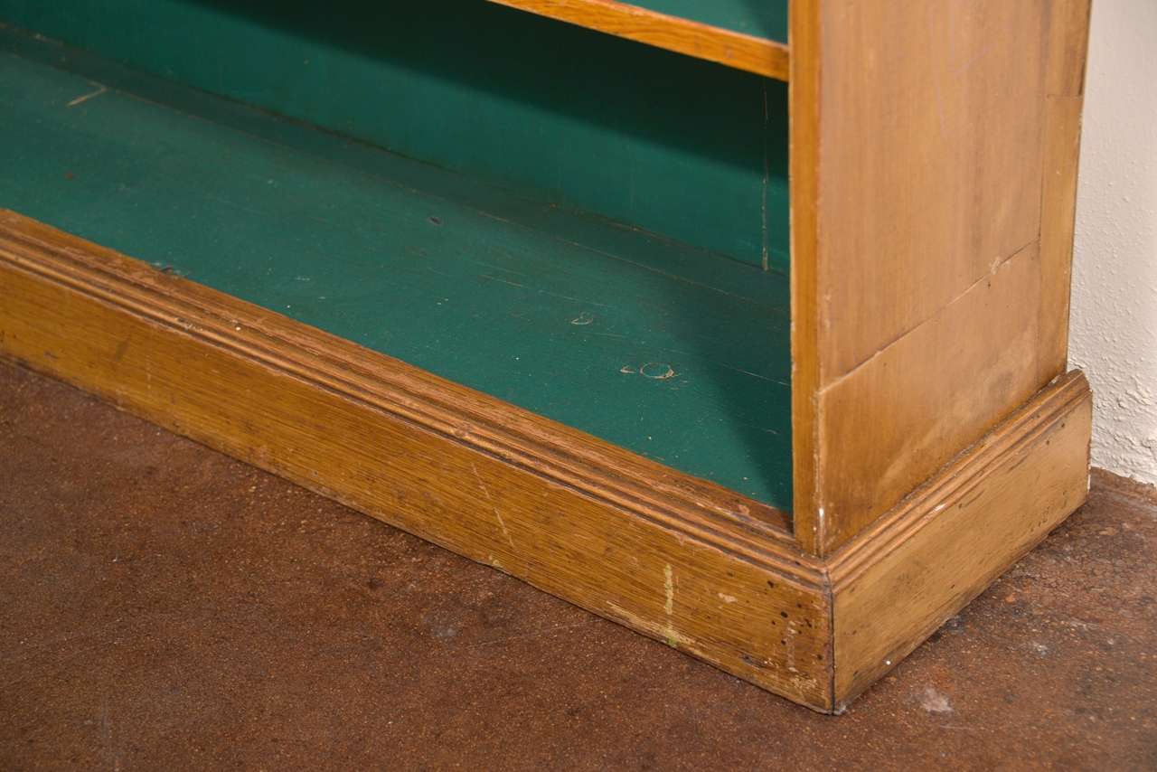 Antique English Library Bookcase 4