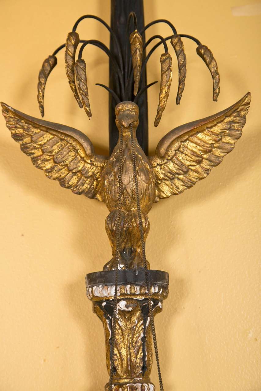 Early 20th Century Pair of Federal Eagle Carved Gilt Wall Sconces, Two Lights, 19th Century For Sale