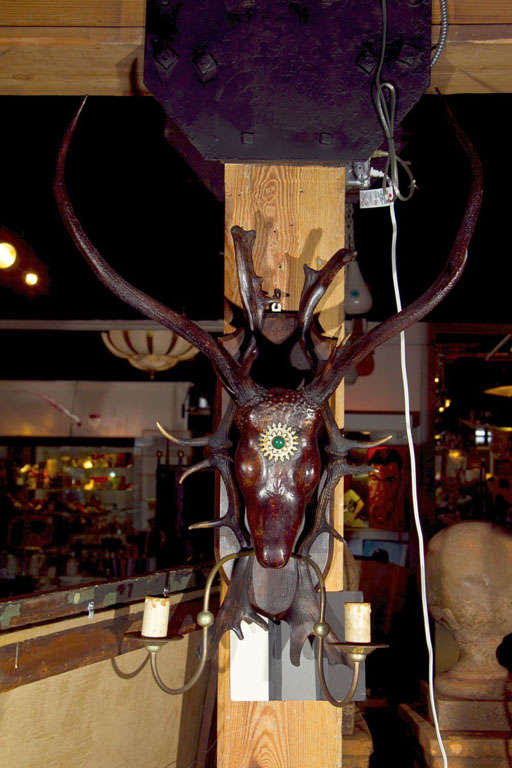 19th Century Deer Head Trophy Sconce with electrified candles