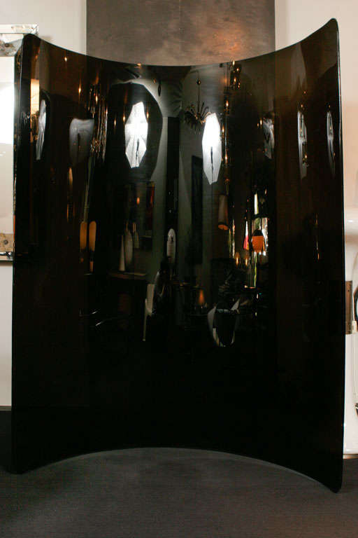 French Concave Perspex Screen in Black For Sale