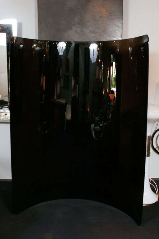 Concave Perspex Screen in Black For Sale 2