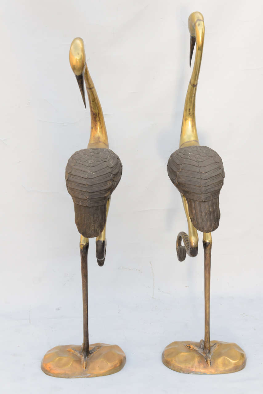 20th Century Pair of Midcentury Brass and Iron Herons