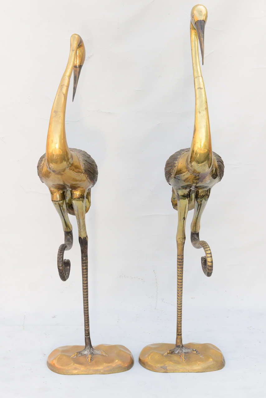 Pair of Midcentury Brass and Iron Herons 3