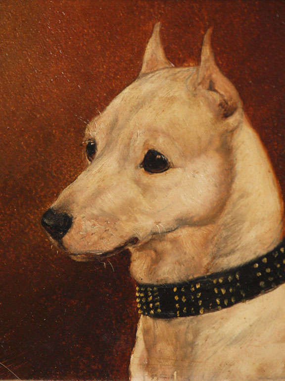 19th Century Portrait of a dog, oil on board, English 19th century For Sale