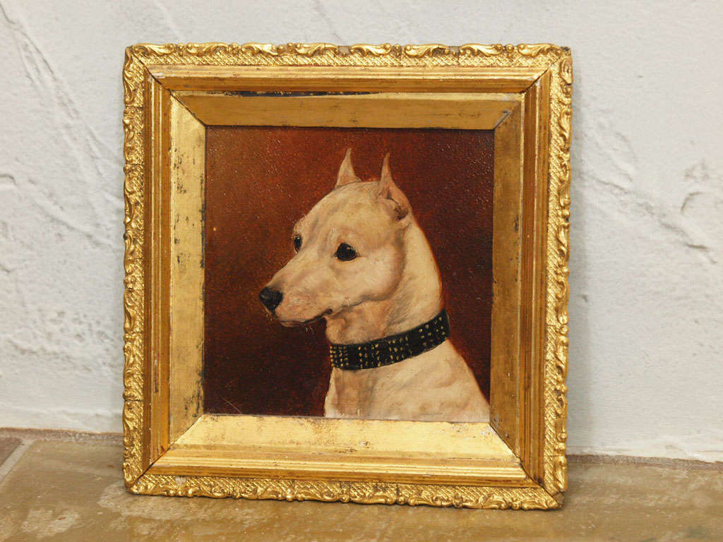 Charming portrait of a dog wearing a period collar. English, 19th century. Oil on canvas. Framed.