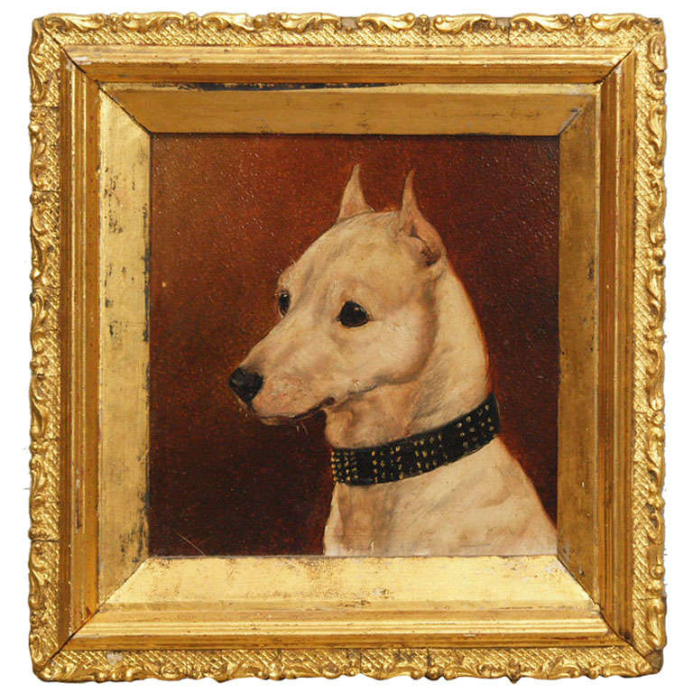 Portrait of a dog, oil on board, English 19th century For Sale