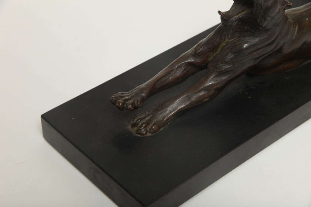 20th Century Anna Hyatt Huntington Sculpture