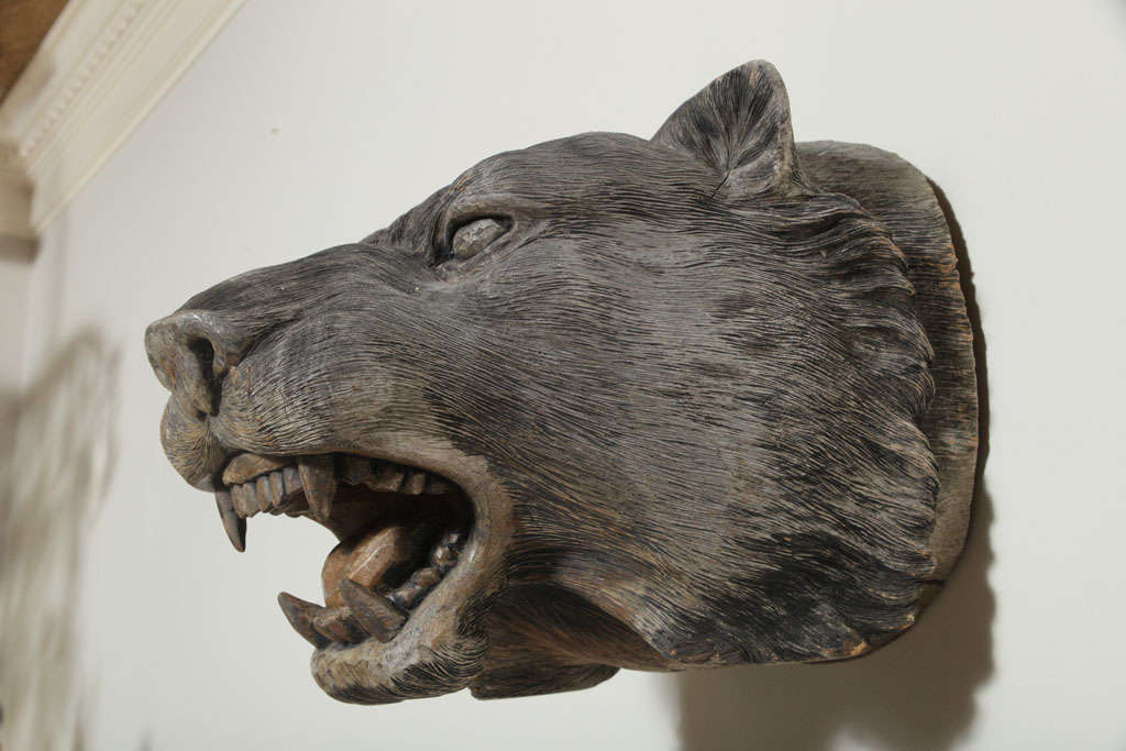 Folk Art Carved Wood Panther Trophy Head