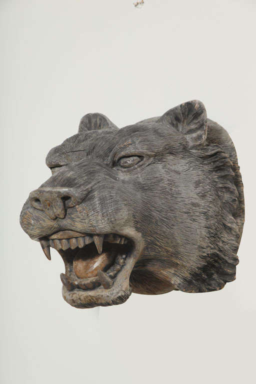 Old, intricately carved wood trophy head of a snarling panther.