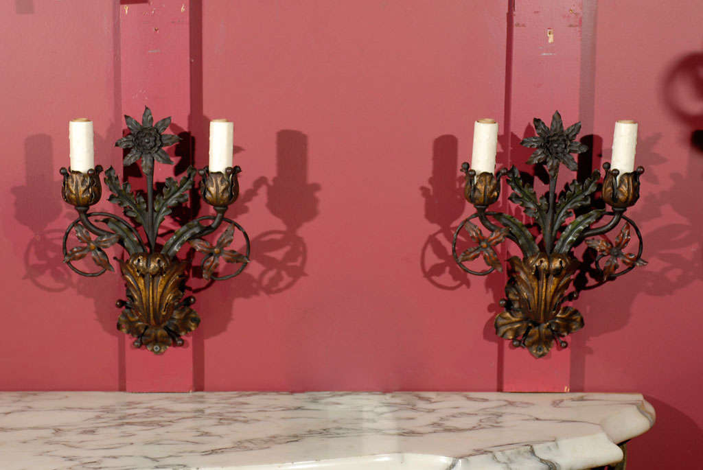 Fine pair of polychromed iron sconces