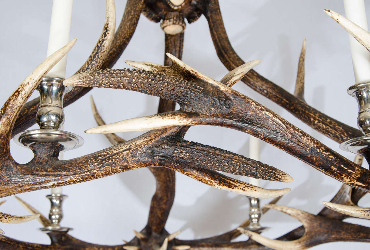 Contemporary Antler Chandelier with Nickel-Plated Finish