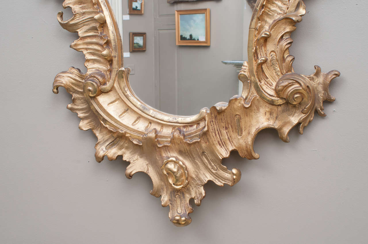 Italian Venetian Style Rococo Gilt Mirror, Italy, circa 1895